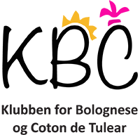 Klubben for Bolognese og Coton de Tulear Logo