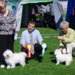 Furnes 24/ 6: Bir : Amore Amorinas Gaga Mio og Bim : Ginilles Carezza di Amore . Dommer: Tino Pehar