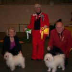 10.12.06 Svensk Vinner 06 Stora Stocholm: BIR: N DK S UCH NV-04,06 SV-06 KBHV-05 NORD.uch.INT.uch.Amore Amorinas Gaga Mio.