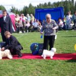 Valpeshow NMK Furnes: Hip Tri’s Isabella ble 2 BIS valp!! Dommer: Tino Pehar