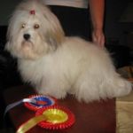 Ginilles Bambino de Nicko BIR og CERT 1 Coton