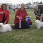 BIS På klubbens første OPEN SHOW 12.08.06 : Multi Ch Camelia of the Swift Coton, Belgia