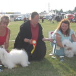 Valpeshow på vårt første Openshow 12.08.06: BIR Bonjour Du Castle de la Roche aux Fees Eier: Ann Eriksen, Gjiways kennel BIM: Tidelidee’s Coton Candy Eier: Iselin Brandt Bestvold, Drammen