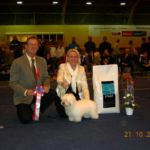 21.okt Tromsø hundeklubb : BIR valp: Bielka Neige des Flocon Juillet og BIS valp ! BIR: Voyou de Clos d’Emma Dommer: Francesco Cochetti. NKK Int. Tromsø Søndag 22.okt Cert og BIR – Mayaroz Jack Daniels Dommer: Inger Ronander.