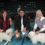 Stange april: BIR: Ginilles Bambino de Nicko BIM: N S CH INT CH NV-02,05 Symphony’s Lady Madonna Dommer: Rajko Rotner
