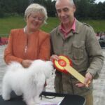 NKK Trondheim 23 Juni : BIR :N CH Ginilles Carezza di Amore med cacib Dommer: Claudio de Guliani , Italia Eier: Liv Sesseng Johansen