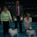 29. April Stange: BIR: Hip-Tris Isabella BIM: N.DK.S.uch.NV 04.NV.06.SV 06. KBHV 05.NORD.uch.INT.uch. Amore Amorinas Gaga Mio. Eiere begge: Gretha og Ivar Myrusten