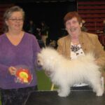 17.mars Letohallen Eidsvoll: BIR: N DK S UCH NV-04,06 SV-06 KBHV-05.NORD.uch.INT.uch. Amore Amorinas Gaga Mio. Dommer: Gunilla Sjkallman, Sverige.