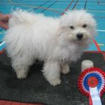 29. April Stange : Marlon Bicia’s Alias And So It Goes tok Cert Eid av Elsa Løkken