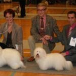 10.mars Danmark: N DK S CH Jeuw 05 The White Stoneheart Queen Maud of Woodland Cottage Ble BIM og BIS 3 av Bim hundene.