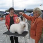 NKK Trondheim 23 Juni: BIR: N S CH NORDV-06 Ginilles Belladonna de Nicko Eier: Liv Seseng Johansen