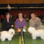 17.mars Letohallen, Eidsvoll : BIR: Tidelidee’s Femme Fatal- Donna Eid av Liv Anne Ugland BIM: Tidelidee’s Flash Gordon- Zico Eid av Mariann Åslund, Sverige Dommer Gunilla Skallman, Sverige