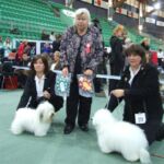 23. November NKK Vikingskipet : BIR: Tidelidee’s Fatal Attraction- Winnie eid av Wivi Anne Olsen BIM: N CH NV-06 Ginilles Bambino de Nicko – Bono eid av Liv Anne Ugland Begge fikk tittel Norsk Vinner 07. 2 BTK Madamme Amzell, eier/oppdretter Åsa Lindquist, Sverige 2 BHK Multi CH Buddy of the Swift Coton, eier Liv S Johansen 3 BHK Tidelidee’s Flash Gordon, med Cert, eier Mariann Åslund, Sverige