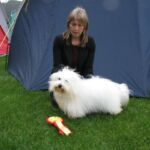 25.August Trondheim Hundefestival på Støren : BIR Symphonys SomethingSpesial 26.August BIR Symphonys SomethingSpesial Eier: Birgit Drabløs, Ålesund