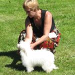 5,Mai Drammen: Gjiways Harriet BIR valp Eier: Ann Eriksen Dommer: Frode Jevne