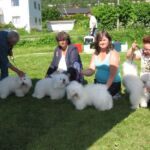3 Juni rasespesialen Coton og Bolognese i Bærum: Tidelidee’s kennel fikk HP Oppdrettergruppe med Zico, Winnie, Donna og Blondie Dommer Elisabetha de Lucca, Italia