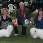 NKK’s Internationale utstilling i Bø: BIR: Amzelles Rocka Billy med Cert BIM: Tidelidee’s Fatal Attraction med Cacib Eier begge hunder Åsa Lindquist Sverige Dommer : V.Tarmo, Finlan