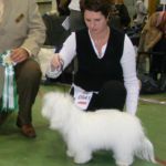 26.04.2009 Stangehallen: BIM: Mizoras Amazing Nelli med Cert Eier: Ann Kristin Grefsheim