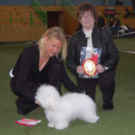 21.02.2010. NKK- Bø: Mizoras Bel Amour Daisy, cert og BIR, Dommer: Kitty Sjong