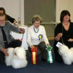 10.01.10 Gøteborg: N UCH Tidelidees Femme Fatal med cacib- Svensk champion!! Dommer: