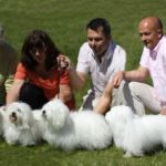 05.06.2010 Ås, Klubbens spesialutstilling: BIS oppdretterklasse: kennel Ginille, Liv Sesseng Johansen. Dommer: Kerstin Nilsson