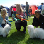 Moss 23.05.2010: Gjiway's Queen Que BIR med cert, eier Ann Eriksen. Bobolinas Ice Prince Isac BIM med cert, eier Silje Breivik. Dommer Maja Korosec