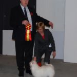 Hellerud 31.01.10: Gjiway`s Queen-Que Bir med cert, dommer Terry Nethercot