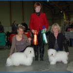 Hellerudsletta 5/2.: BIR m cert: Draco Jarbo, Eier: Anette(Kennel Duzett) BIM m cert: Rosemary Raj Karpat. Eier: Åsa Lindqvist Dommer Kitty Sjong
