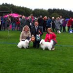 Rogaland Int Nkk 16/9: BIR, cacib och norsk champion Kyara Cattledrivers Castle, äg: Åsa Lindqvist BIM, cacib : NUCH Tidelidees Snowman äg Unni