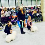 Bir/Bim & NV-19 Coton